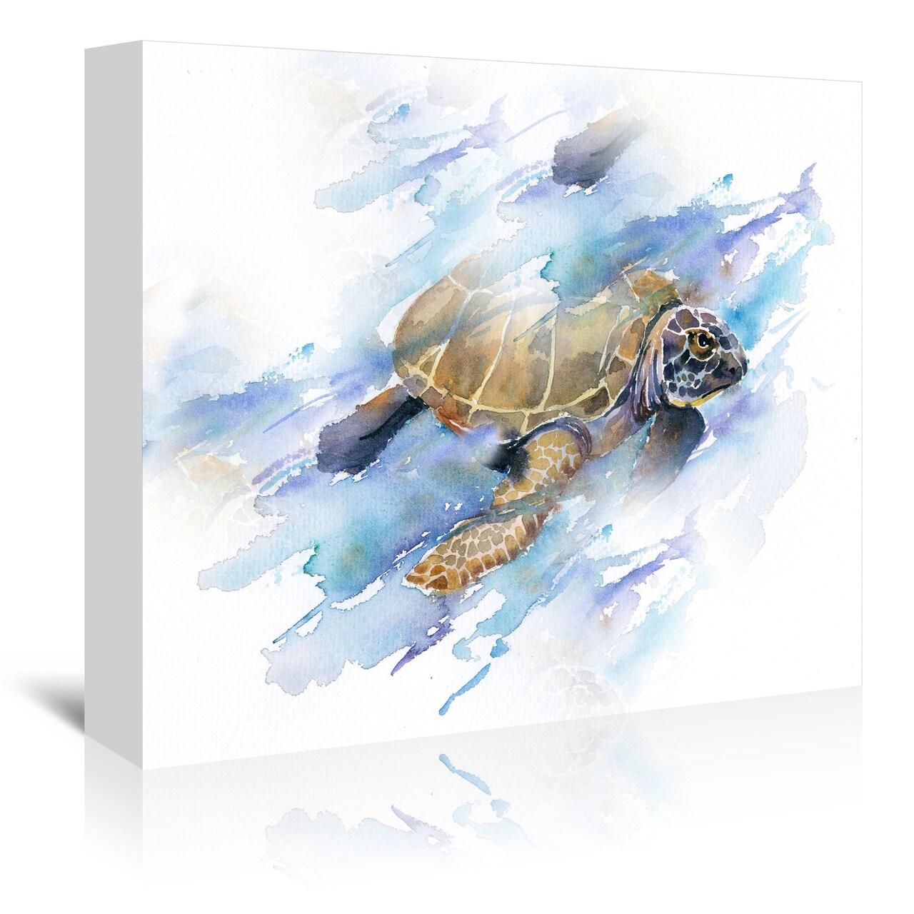 Turtle by Rachel McNaughton  Gallery Wrapped Canvas - Americanflat